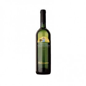 VINO MASTROBERARDINO FALANGHINA CL 75 