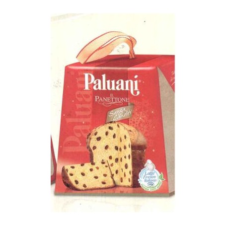 PALUANI PANETTONE GR 100 