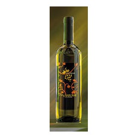 VINO PENGUE BIANCO CL 75 