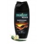 PALMOLIVE MEN ENERGISING 250 ML X 12 