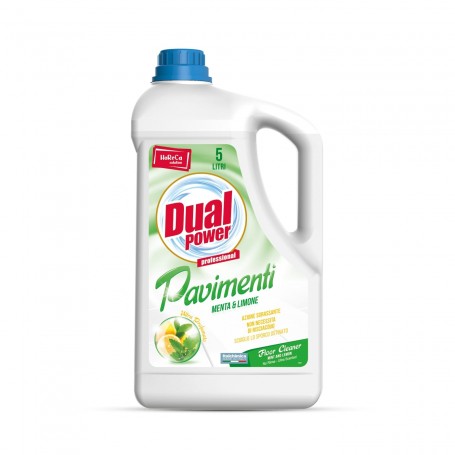 DUAL POWER PAVIEMNTI MENTA LIMON 5LT X12 