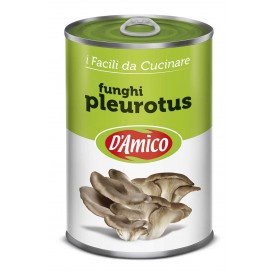 D'AMICO FUNGHI PLEUROTUS LATTA 400GR X12 