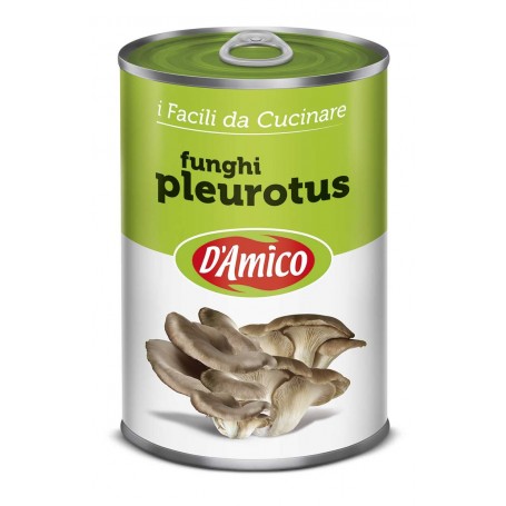 D'AMICO FUNGHI PLEUROTUS LATTA 400GR X12 