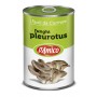 D'AMICO FUNGHI PLEUROTUS LATTA 400GR X12 