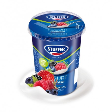 STUFFER YOGURT FRUTTI BOSCO 500GR X6 