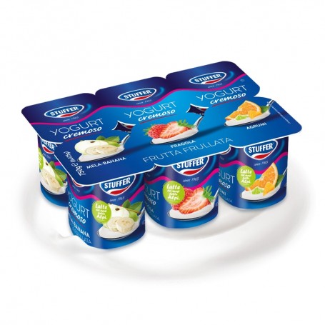 STUFFER YOGURT FRUT ASSORT 125GR X6 X4 