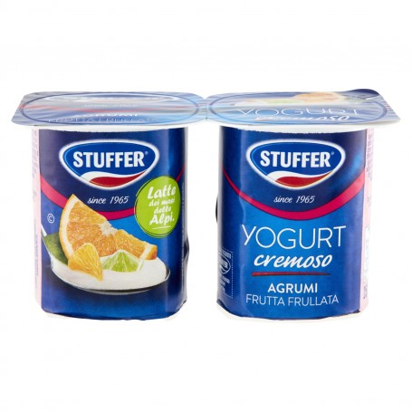 STUFFER YOGURT AGRUMI 125GR X2 X12 