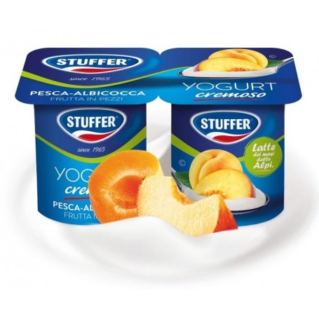 STUFFER YOGURT PEZZI PESCA 25GR X2 X12 