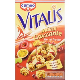 CAMEO VITALIS MIX DI FRUTTA 300GR X8 